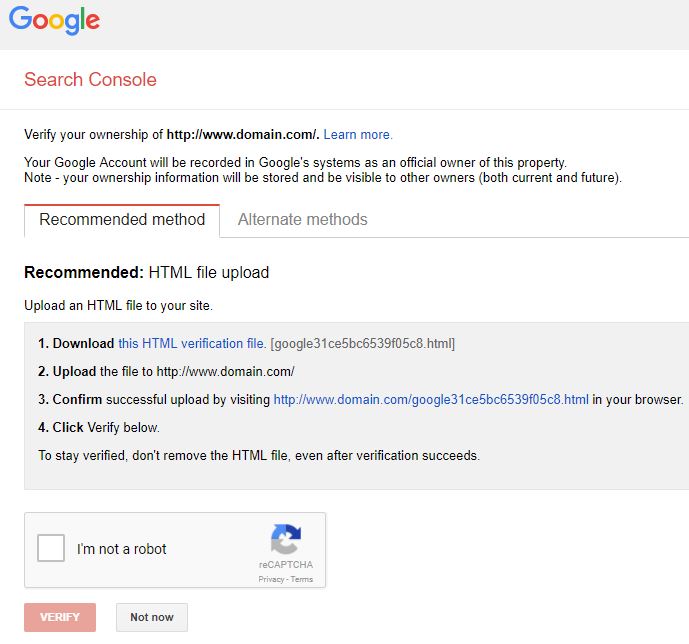 google search console verify
