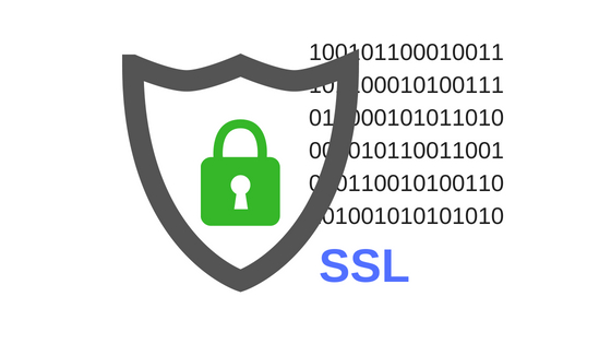 How does https works